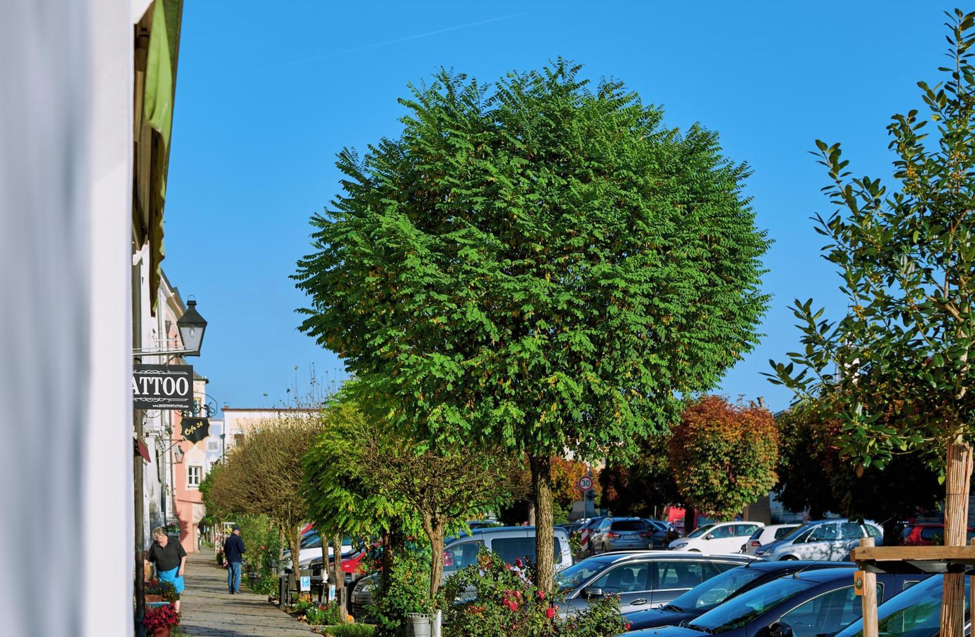 Apartment Zwischen Salzburg, Burghausen Und Oesterreich Tittmoning